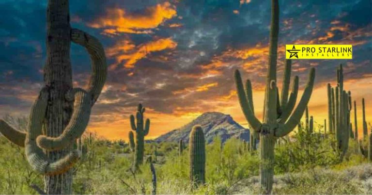 Starlink Installer in Cave Creek AZ