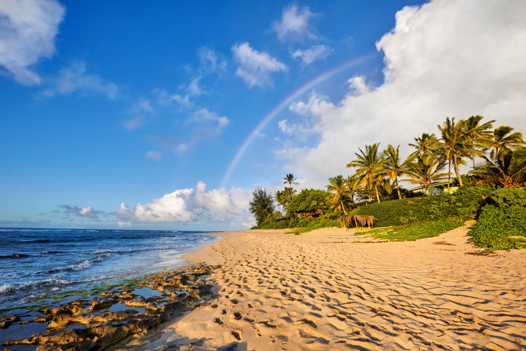 Starlink installation North Shore Hawaii