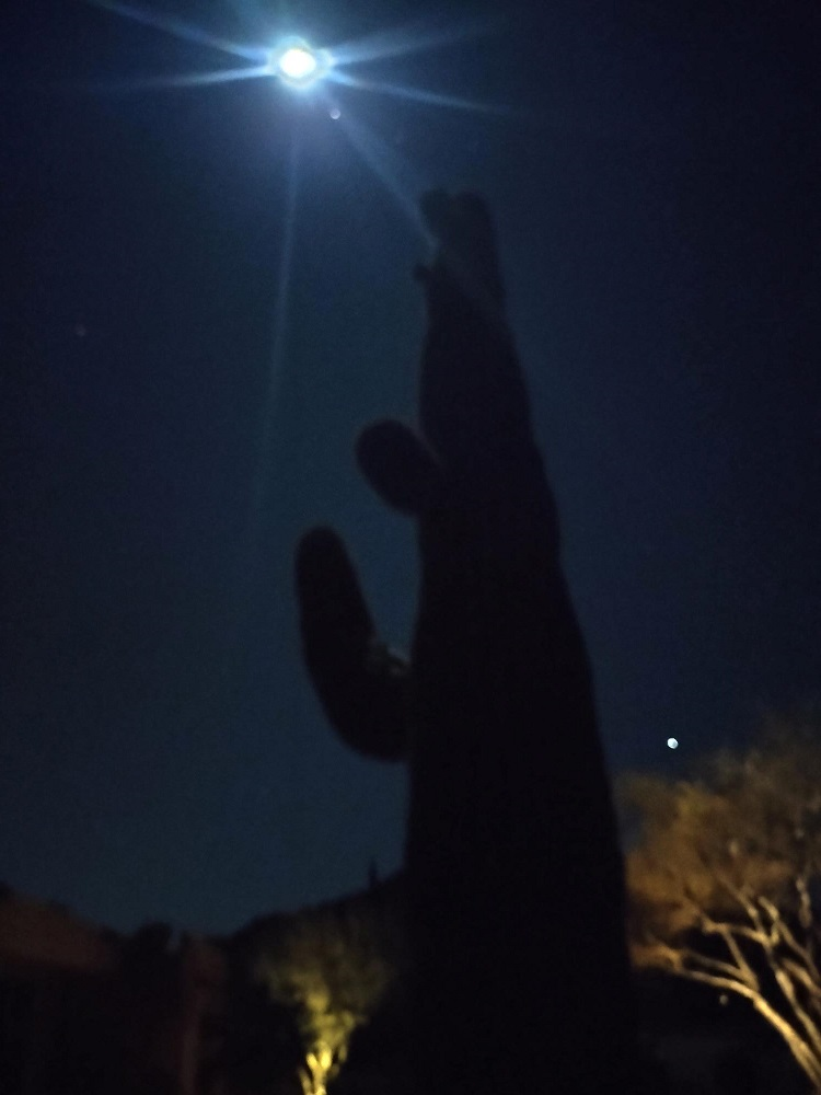 Arizona moon keep shining on the desert sky above